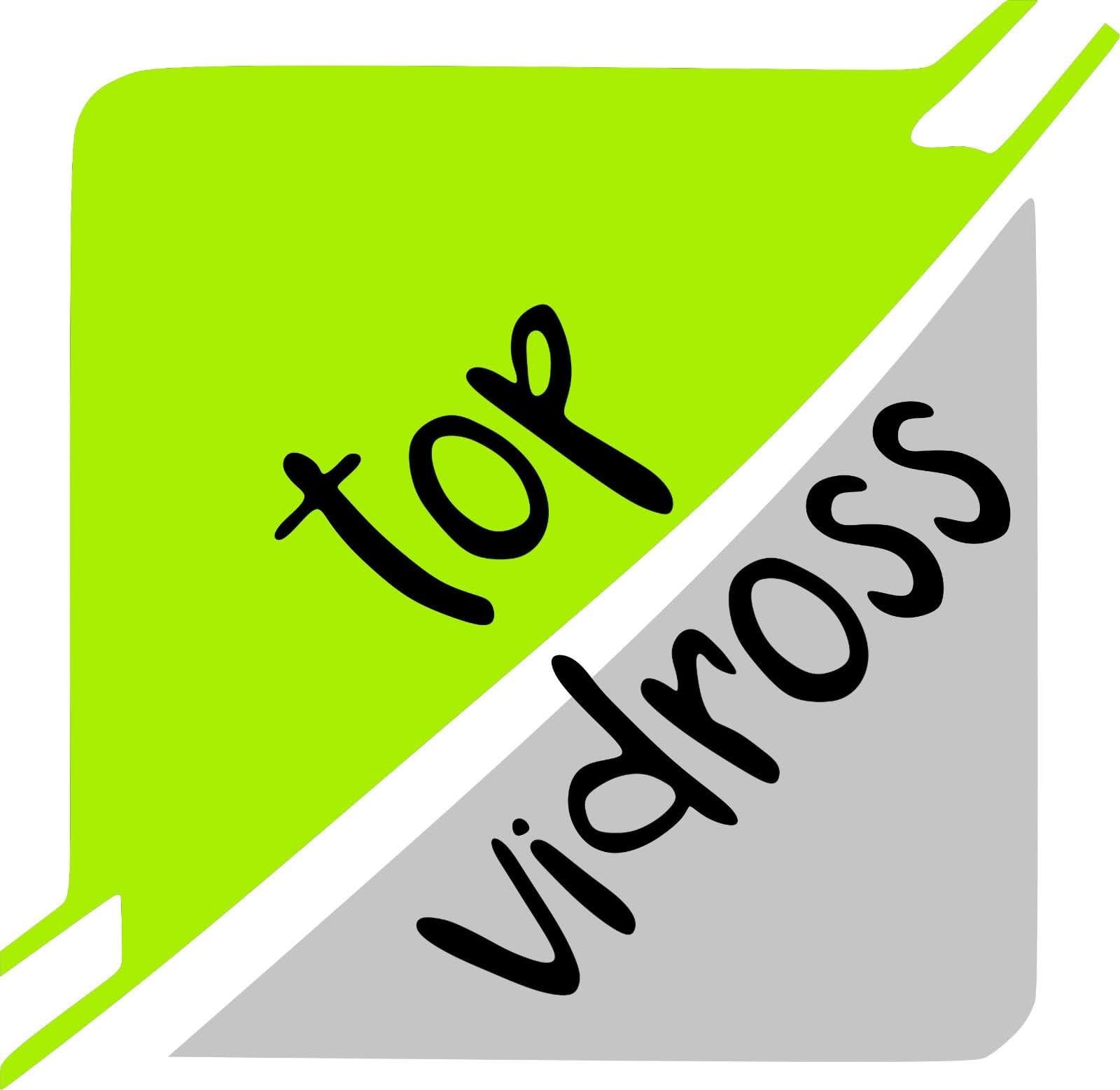 Logo do top vidrossp